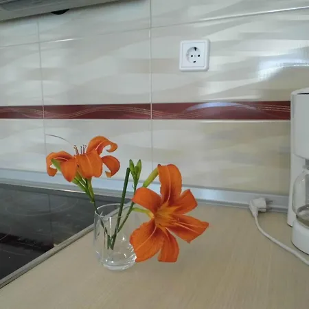 Apartman Balsic Mit Dachterrasse By Interhome